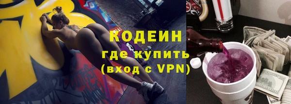 индика Баксан