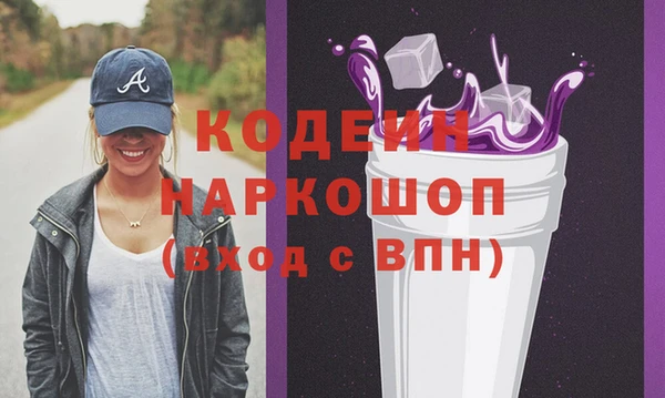 индика Баксан