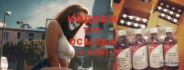 индика Баксан
